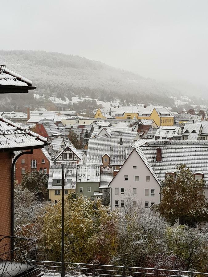 Ferienwohnungen Albstadt Eksteriør bilde